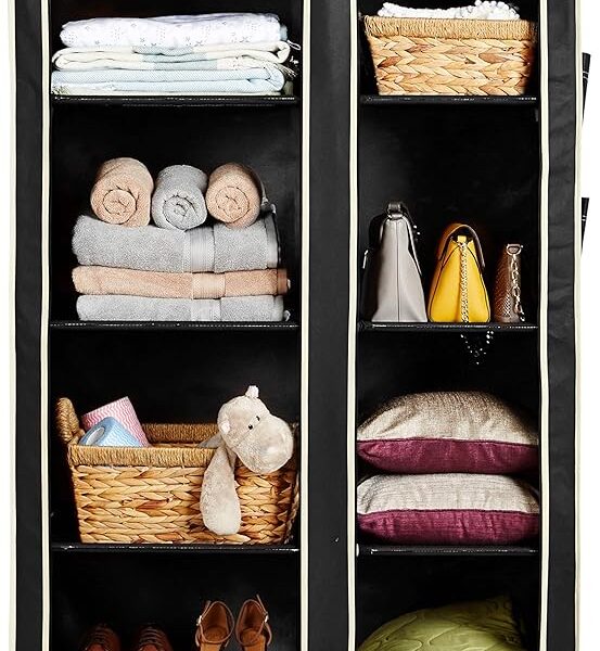 Solimo 2-Door Foldable Wardrobe, 8 Racks, Black, Plastic, 99 x 44 x 162 centimeters