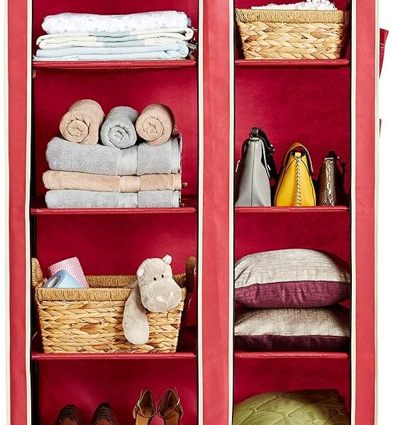 Solimo 2-Door Foldable Wardrobe, 8 Racks, Maroon