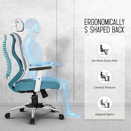 Merlion Office Chair, High Back Mesh Ergonomic Home Office Desk Chair with 3 Years Warranty, Adjustable Armrests, Adjustable Lumbar Support, Tilt Lock Mechanism (Black)