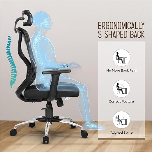 Merlion Office Chair, High Back Mesh Ergonomic Home Office Desk Chair with 3 Years Warranty, Adjustable Armrests, Adjustable Lumbar Support, Tilt Lock Mechanism (Black)