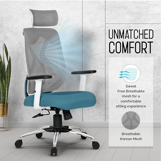 Merlion Office Chair, High Back Mesh Ergonomic Home Office Desk Chair with 3 Years Warranty, Adjustable Armrests, Adjustable Lumbar Support, Tilt Lock Mechanism (Black)